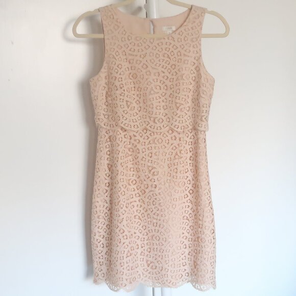 J.Crew Tan Lace Sleeveless Sheath Dress Size 0 Scalloped Hem Wedding Party - Picture 2 of 8